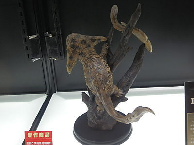 WF2012-winter-215.jpg