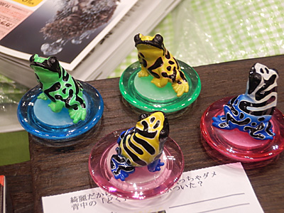 WF2013-winter-034.jpg