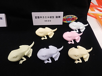 WF2013-winter-087.jpg