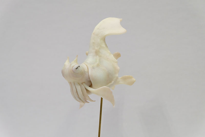 WF2026-summer-027.jpg