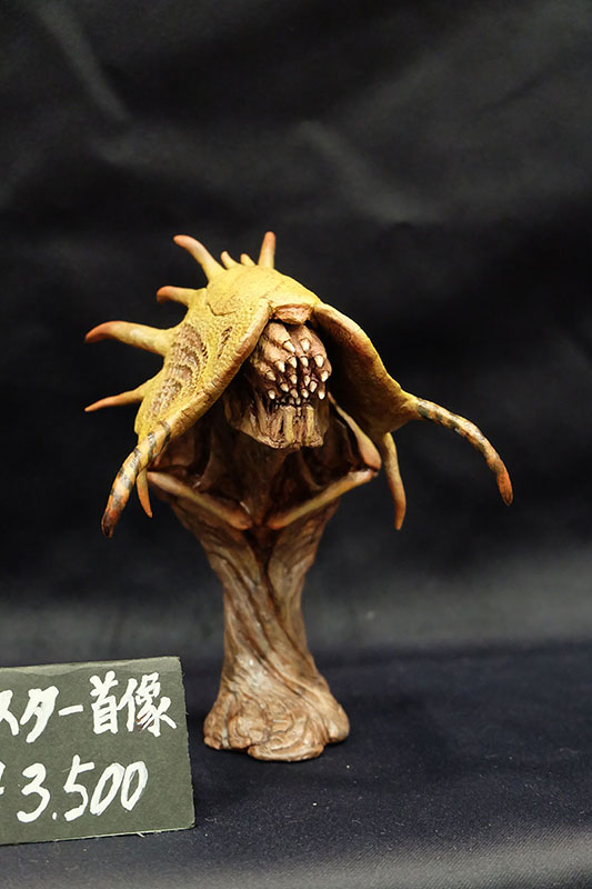 WF2026-summer-041.jpg