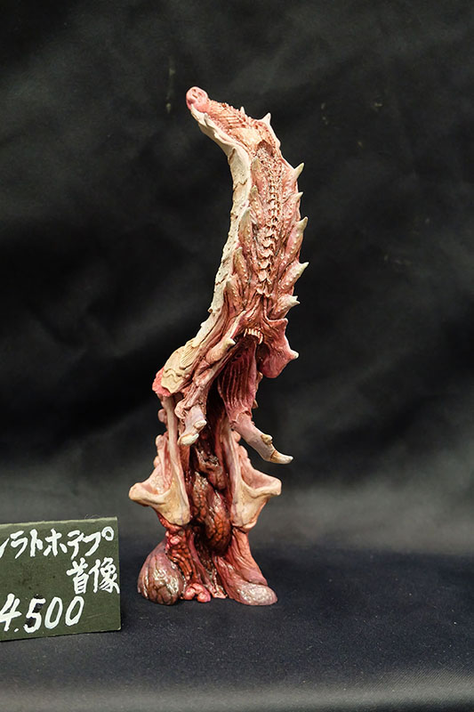 WF2026-summer-043.jpg