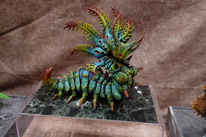 WF2026-summer-058.jpg