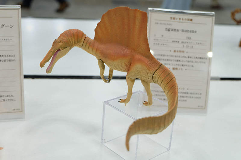WF2026-summer-172.jpg