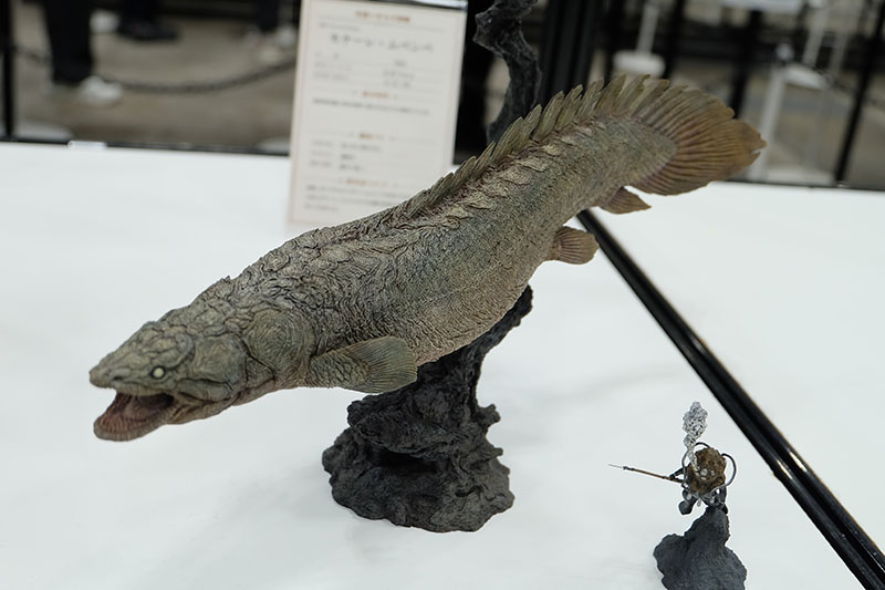 WF2026-summer-180.jpg