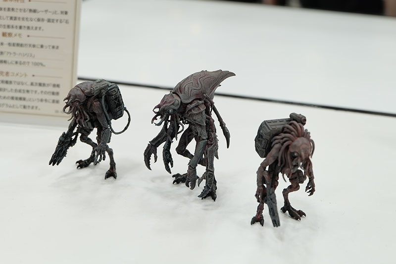 WF2026-summer-197.jpg
