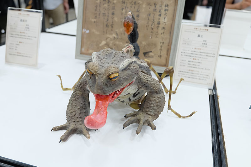 WF2026-summer-203.jpg