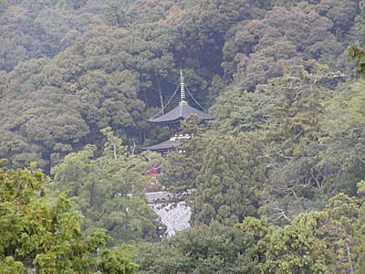 kyoto2005-047.jpg