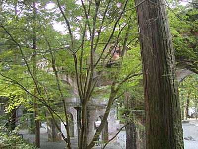 kyoto2005-062.jpg