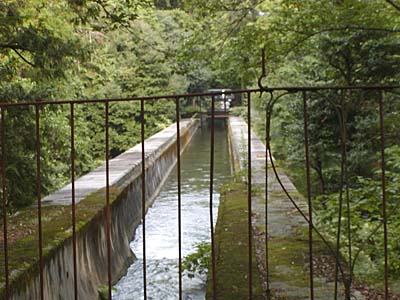 kyoto2005-070.jpg