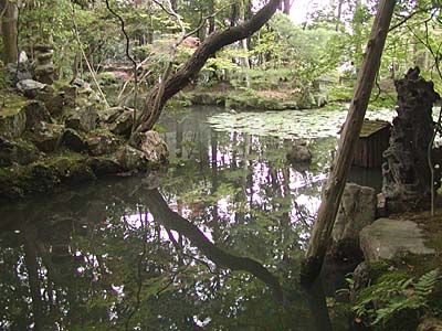 kyoto2005-078.jpg