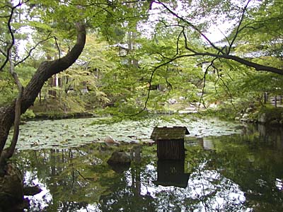 kyoto2005-079.jpg