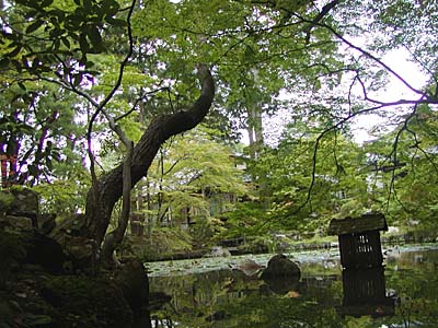 kyoto2005-080.jpg