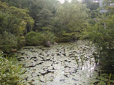 kyoto2005-086.jpg