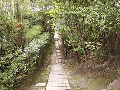 kyoto2005-090.jpg